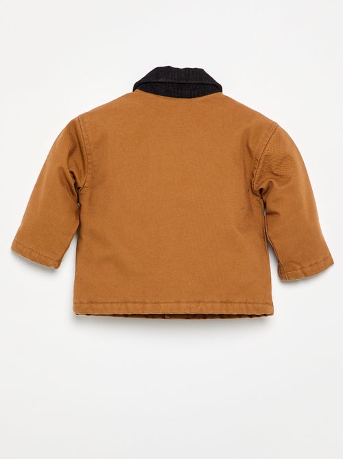 Blouson met contrasterende fluwelen kraag - Kiabi