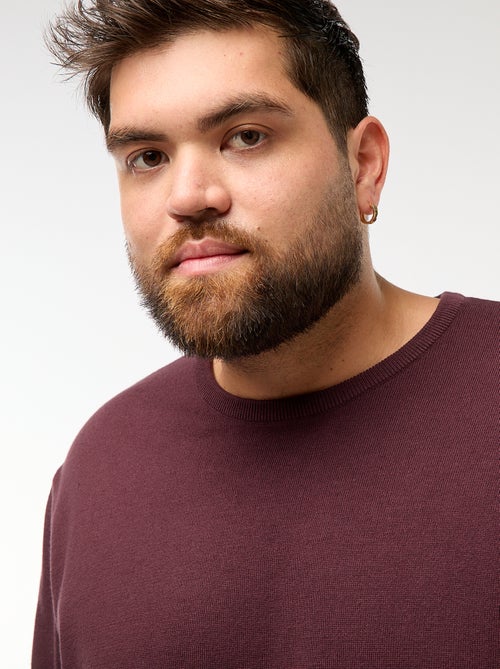 Effen gebreide trui met ronde hals - Kiabi