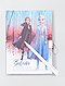     Geheimenboekje 'Frozen 2' afbeelding 2
