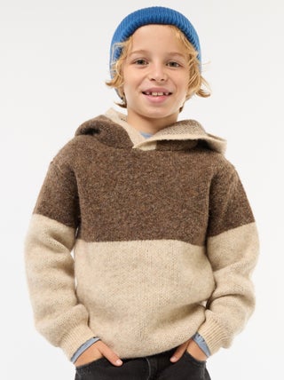 Hoodie met colorblock-patroon