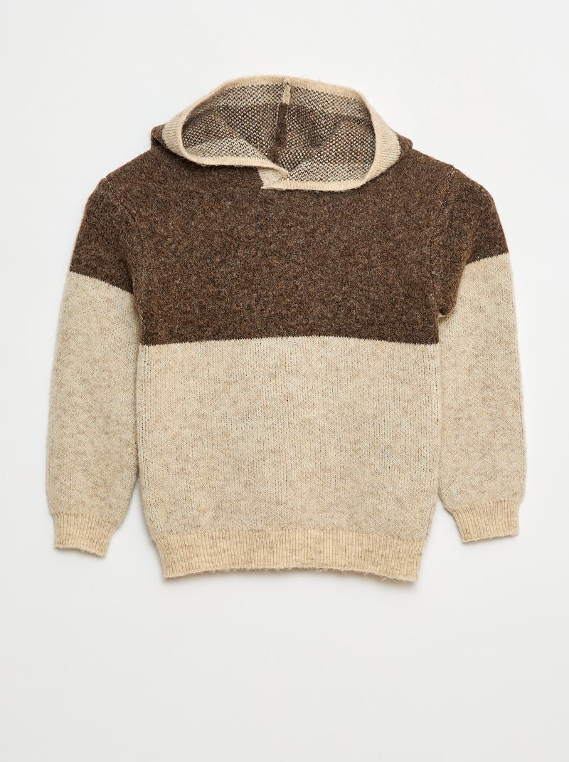 Hoodie met colorblock-patroon Bruin - Kiabi