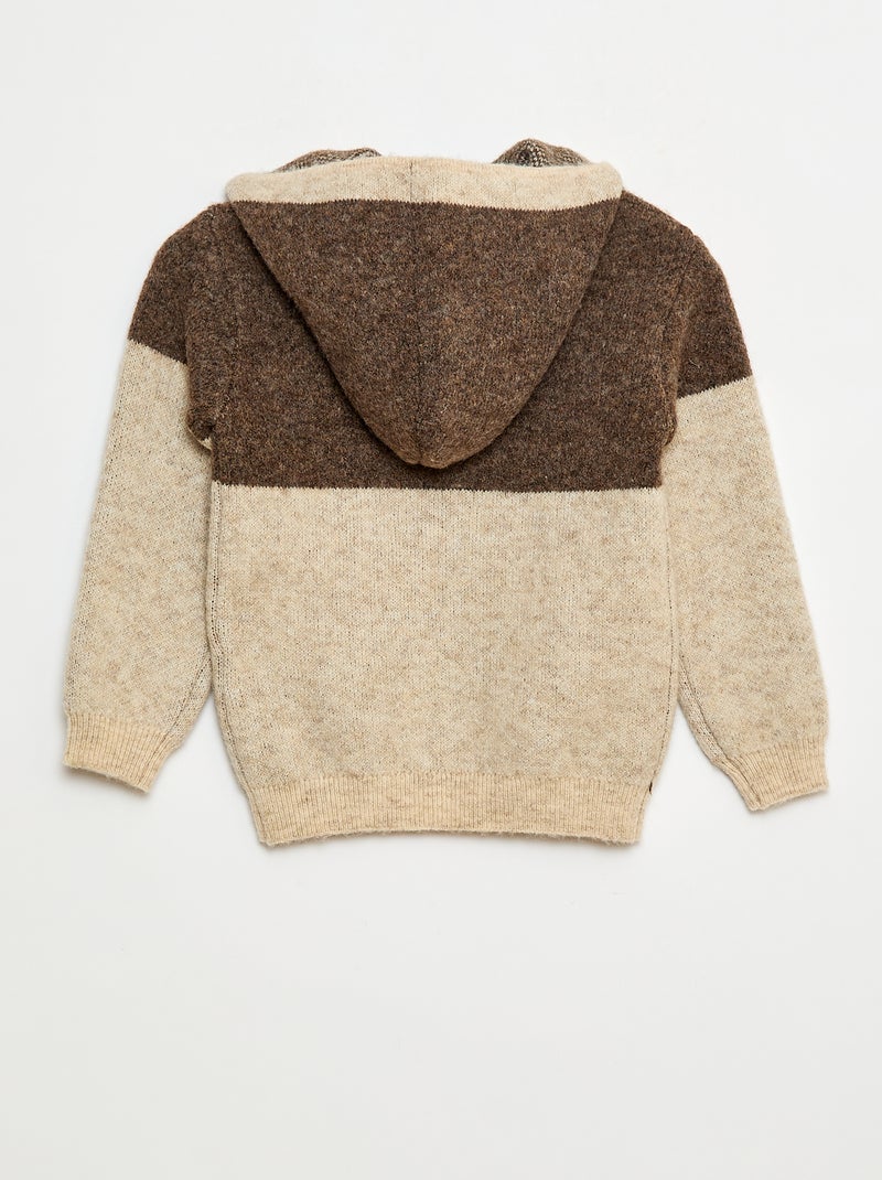 Hoodie met colorblock-patroon Bruin - Kiabi