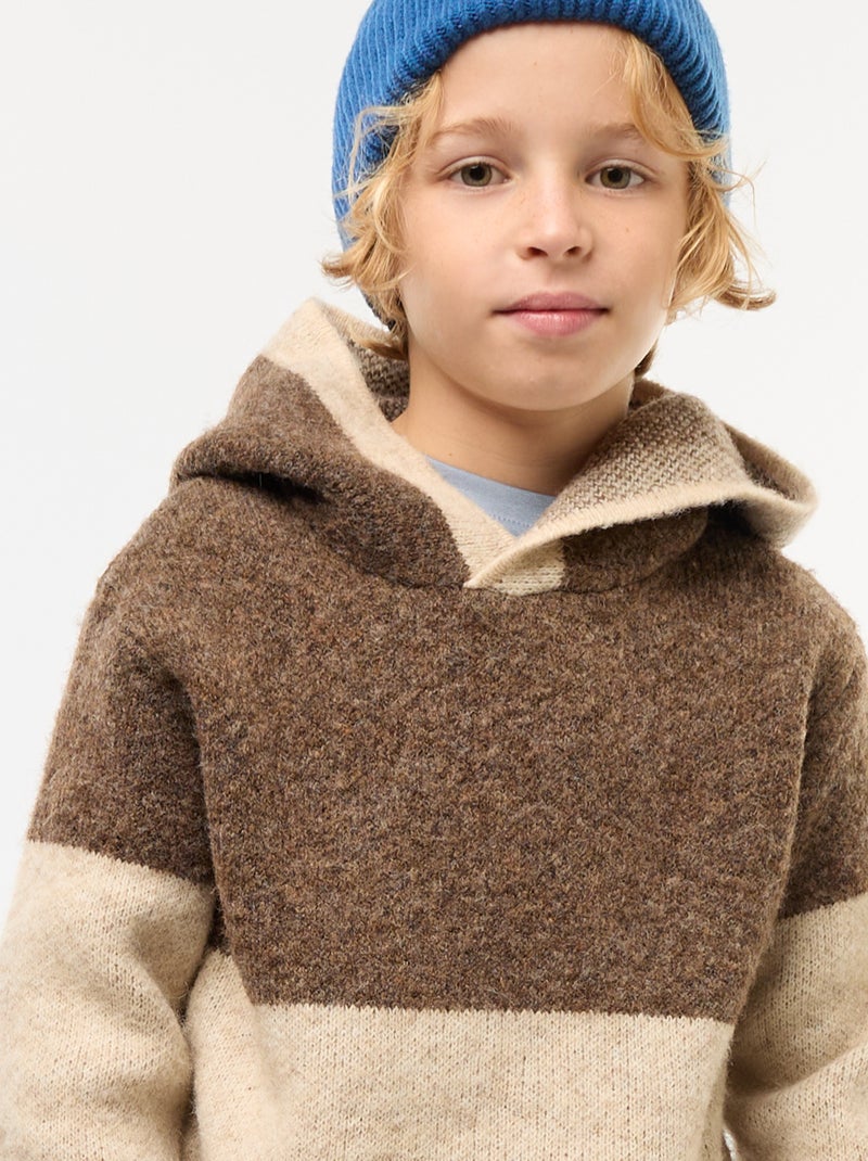 Hoodie met colorblock-patroon Bruin - Kiabi