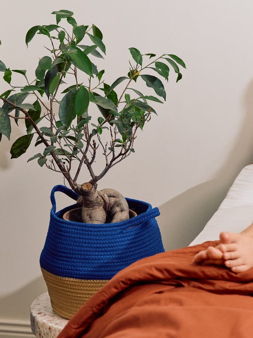 Klein opbergmandje - Kiabi