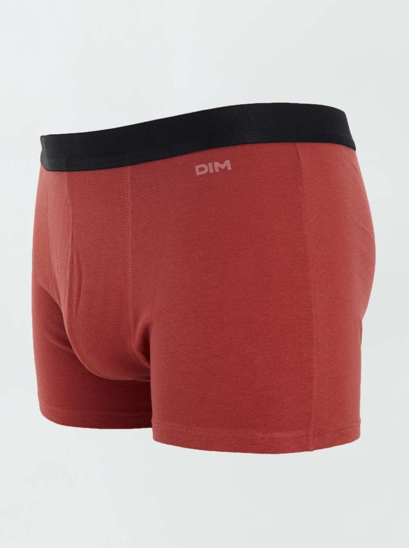 BOXER BAMBINO U2284F GASOLINO | Ingrosso SLIP 0/16 ANNI | S.r.l - Foto 7