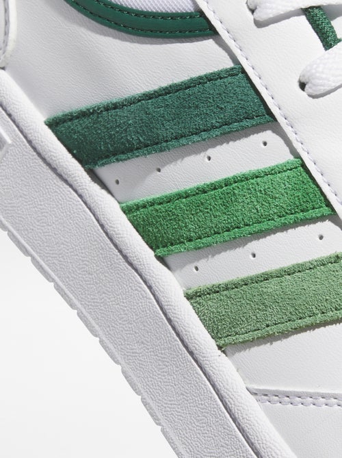 Sneakers - Adidas Hoops - Kiabi