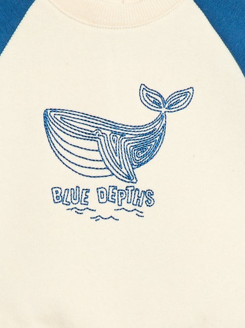 Sweatshirt van molton met raglanmouwen - Kiabi