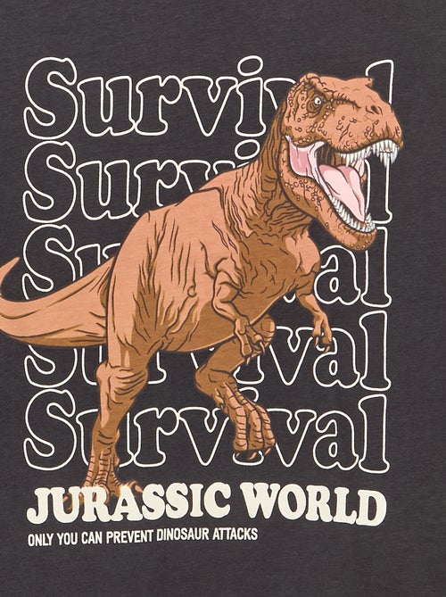 T-shirt 'Jurassic World' met lange mouwen - Kiabi T-shirt 'Jurassic World' met lange mouwen - Kiabi