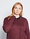     Trui van tricot met sierkraag afbeelding 1
