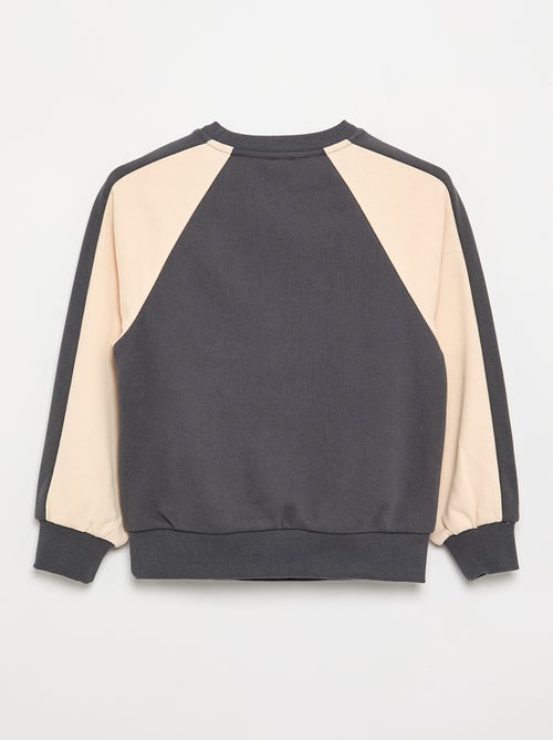 Tweekleurige sweatshirt met print - Kiabi