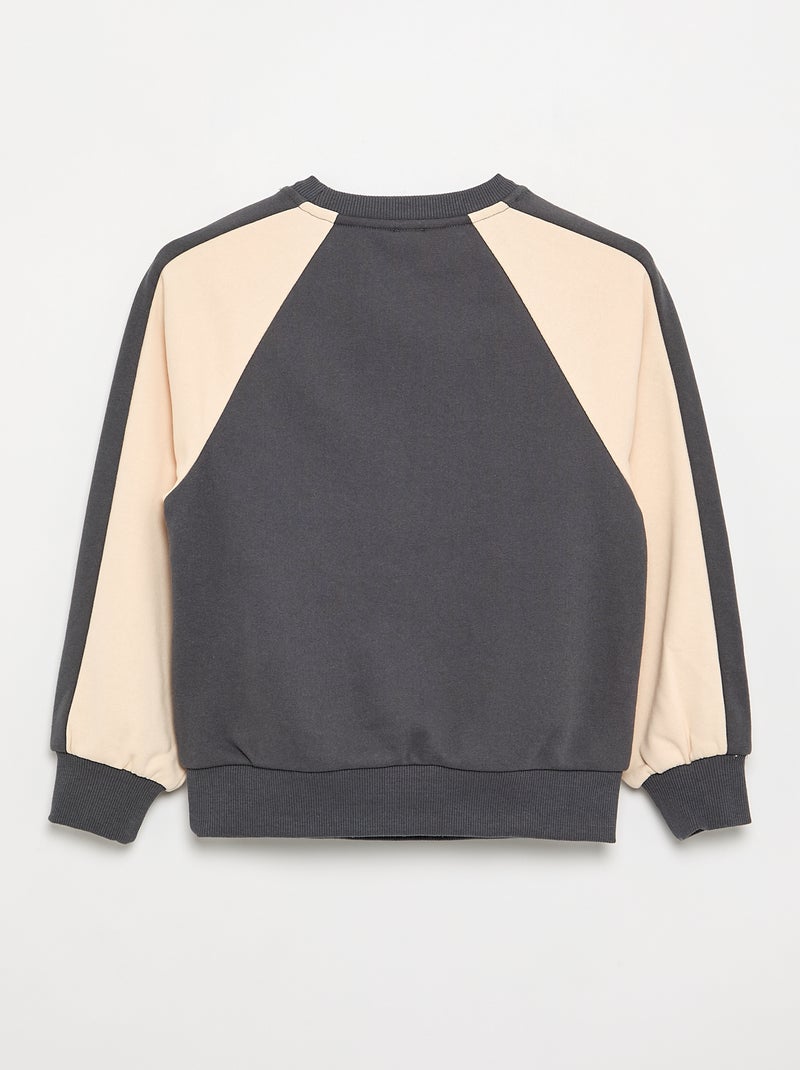 Tweekleurige sweatshirt met print Grijs - Kiabi